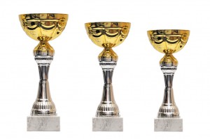 sportovni-pohary-a-006-529-512.jpg